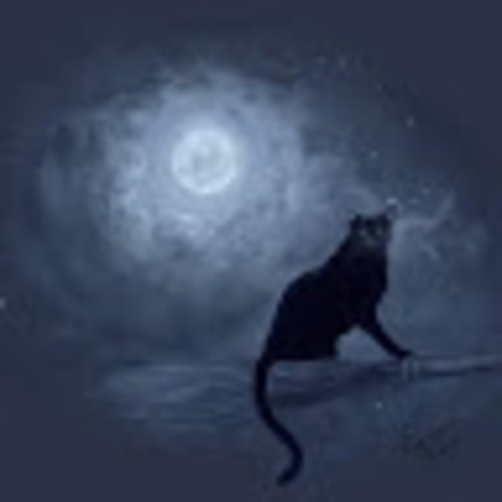 Meet your Posher, Lisa marie